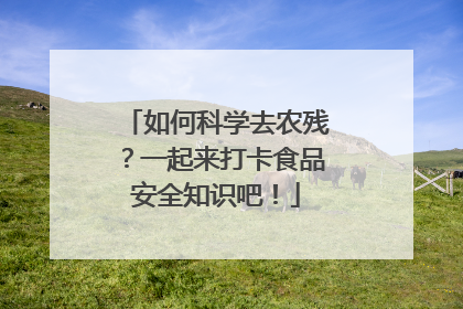 如何科学去农残？一起来打卡食品安全知识吧！