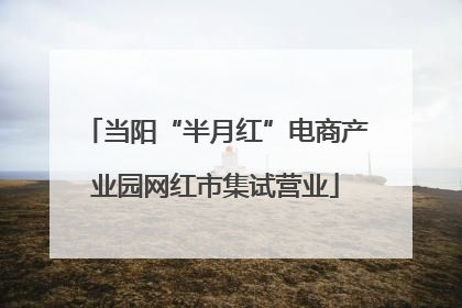 当阳“半月红”电商产业园网红市集试营业