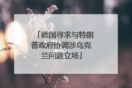 德国寻求与特朗普政府协调涉乌克兰问题立场