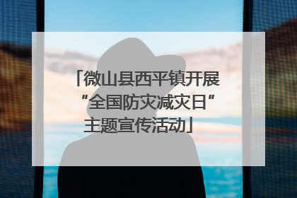 微山县西平镇开展“全国防灾减灾日”主题宣传活动