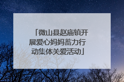 微山县赵庙镇开展爱心妈妈蓄力行动集体关爱活动