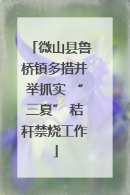 微山县鲁桥镇多措并举抓实 “三夏” 秸秆禁烧工作