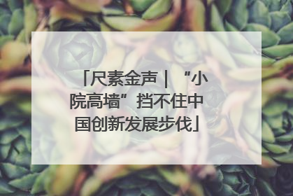 尺素金声｜“小院高墙”挡不住中国创新发展步伐