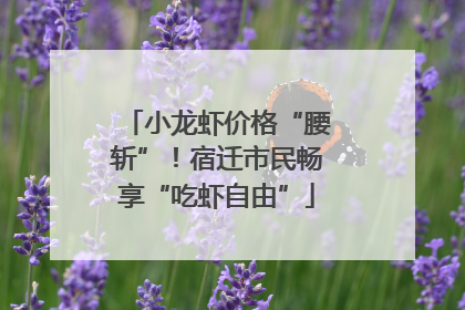 小龙虾价格“腰斩”！宿迁市民畅享“吃虾自由”