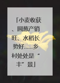 小麦收获、圆葱产销旺、水稻长势好……乡村处处是“丰”景
