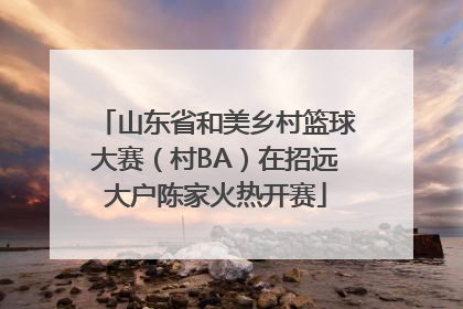 山东省和美乡村篮球大赛（村BA）在招远大户陈家火热开赛