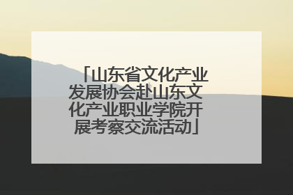 山东省文化产业发展协会赴山东文化产业职业学院开展考察交流活动