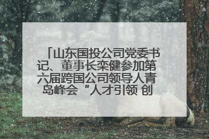 山东国投公司党委书记、董事长栾健参加第六届跨国公司领导人青岛峰会“人才引领 创新驱动”人力资源高质量发展对话会