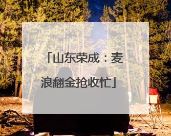 山东荣成：麦浪翻金抢收忙