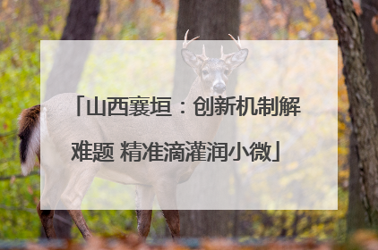 山西襄垣：创新机制解难题 精准滴灌润小微