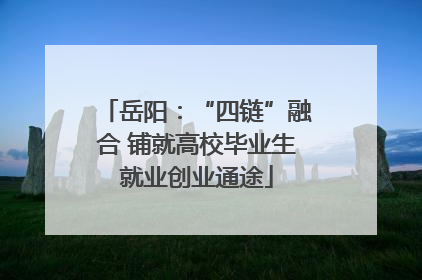 岳阳：“四链”融合 铺就高校毕业生就业创业通途