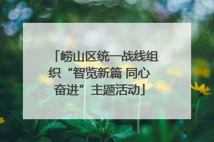 崂山区统一战线组织“智览新篇 同心奋进”主题活动