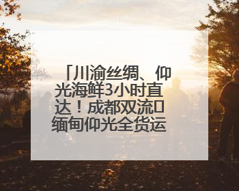 川渝丝绸、仰光海鲜3小时直达！成都双流⇌缅甸仰光全货运航线开通