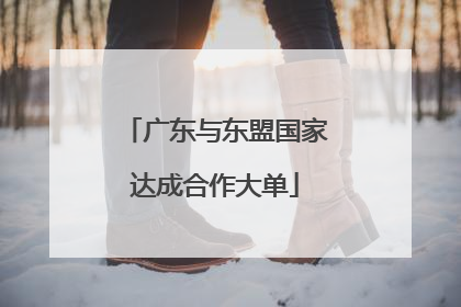 广东与东盟国家达成合作大单