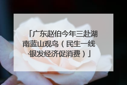 广东赵伯今年三赴湖南蓝山观鸟（民生一线·银发经济促消费）