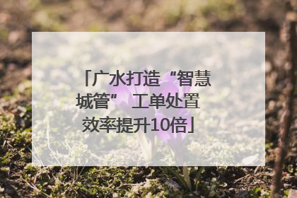 广水打造“智慧城管” 工单处置效率提升10倍