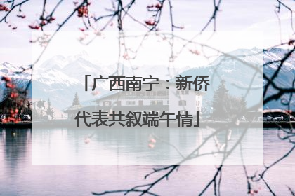 广西南宁：新侨代表共叙端午情