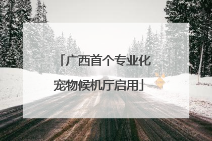 广西首个专业化宠物候机厅启用