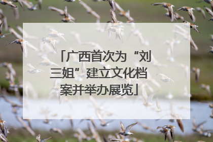 广西首次为“刘三姐”建立文化档案并举办展览