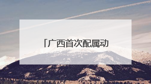 广西首次配属动力集中“复兴号”动车组 南宁至上海省时近6小时