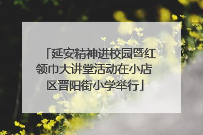 延安精神进校园暨红领巾大讲堂活动在小店区晋阳街小学举行