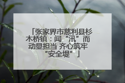 张家界市慈利县杉木桥镇：闻“汛”而动显担当 齐心筑牢“安全堤”