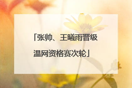 张帅、王曦雨晋级温网资格赛次轮