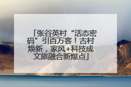 张谷英村“活态密码”引百万客！古村焕新，家风+科技成文旅融合新爆点