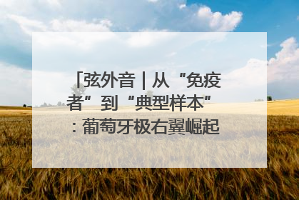 弦外音｜从“免疫者”到“典型样本”：葡萄牙极右翼崛起背后的欧洲困局
