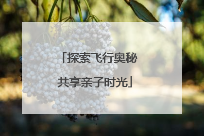 探索飞行奥秘 共享亲子时光
