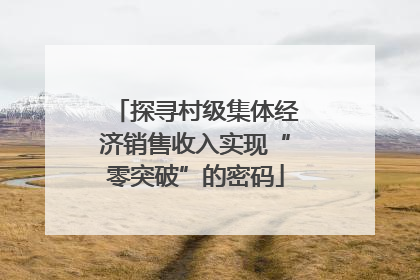 探寻村级集体经济销售收入实现“零突破”的密码