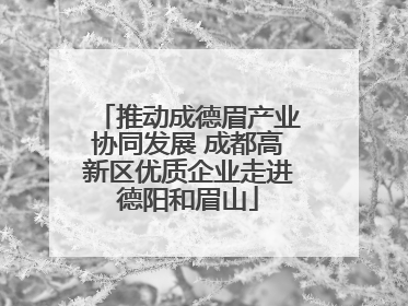 推动成德眉产业协同发展 成都高新区优质企业走进德阳和眉山