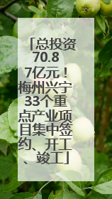 总投资70.87亿元！梅州兴宁33个重点产业项目集中签约、开工、竣工