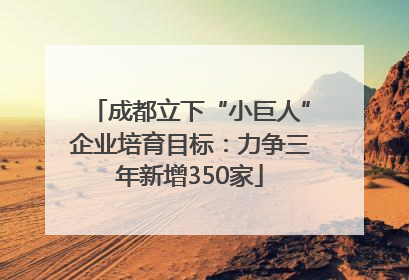 成都立下“小巨人”企业培育目标：力争三年新增350家