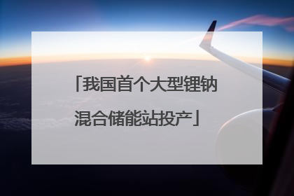 我国首个大型锂钠混合储能站投产