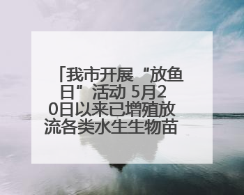 我市开展“放鱼日”活动 5月20日以来已增殖放流各类水生生物苗种5.1亿单位