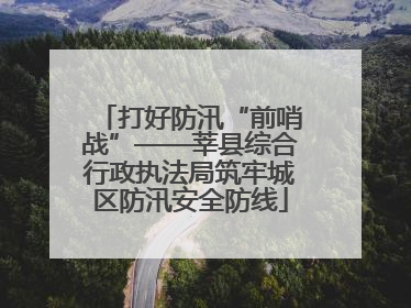 打好防汛“前哨战”——莘县综合行政执法局筑牢城区防汛安全防线