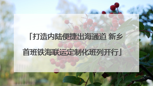 打造内陆便捷出海通道 新乡首班铁海联运定制化班列开行