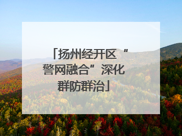 扬州经开区“警网融合”深化群防群治