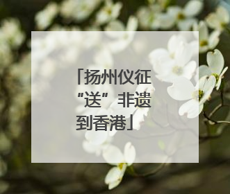 扬州仪征“送”非遗到香港
