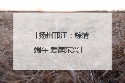 扬州邗江：粽情端午 爱满东兴