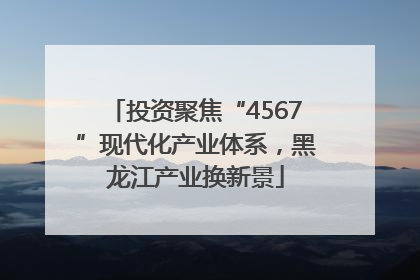 投资聚焦“4567”现代化产业体系，黑龙江产业换新景