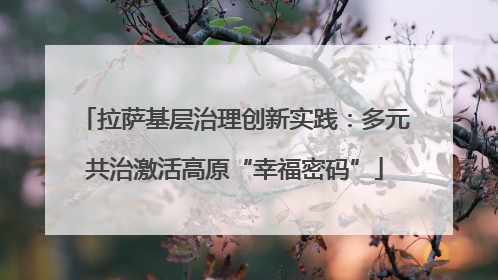 拉萨基层治理创新实践：多元共治激活高原“幸福密码”