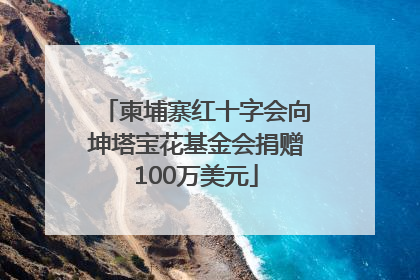 柬埔寨红十字会向坤塔宝花基金会捐赠100万美元