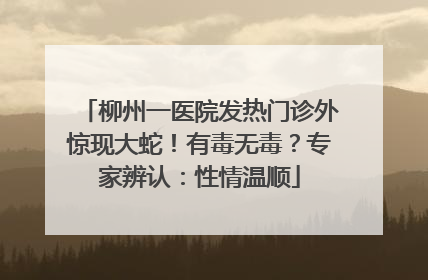 柳州一医院发热门诊外惊现大蛇！有毒无毒？专家辨认：性情温顺