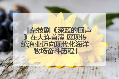 杂技剧《深蓝的回声》在大连首演 展现传统渔业迈向现代化海洋牧场奋斗历程