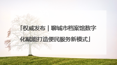 权威发布｜聊城市档案馆数字化赋能打造便民服务新模式