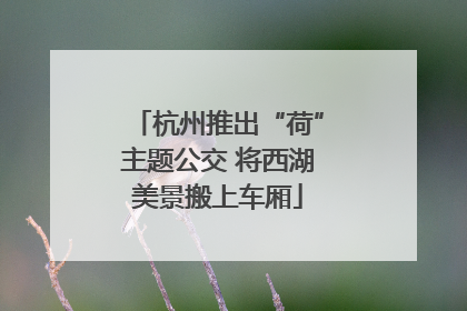 杭州推出“荷”主题公交 将西湖美景搬上车厢