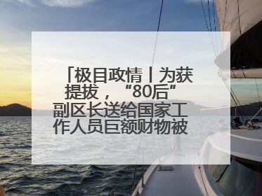 极目政情丨为获提拔，“80后”副区长送给国家工作人员巨额财物被“双开”