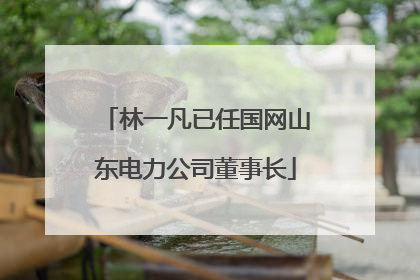 林一凡已任国网山东电力公司董事长